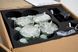 Infantry netball machine gun Ptashka: System + 5 cartridges + holster + case