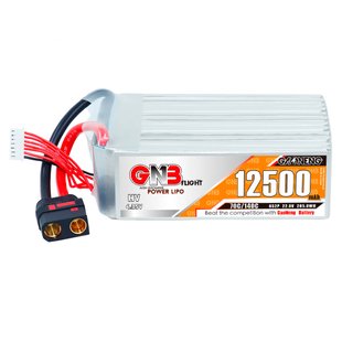 Акумулятор GNB GAONENG 12500 mAh, 6S2P 100993 фото