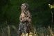 Casper Camo Custom Camouflage Kit